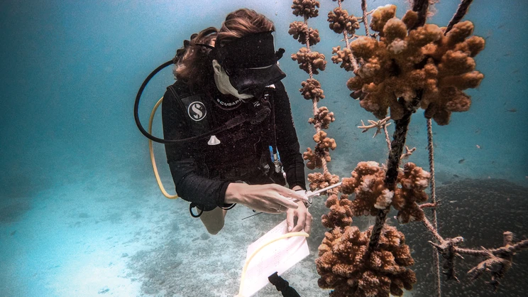 Conrad Maldives Rangali Island